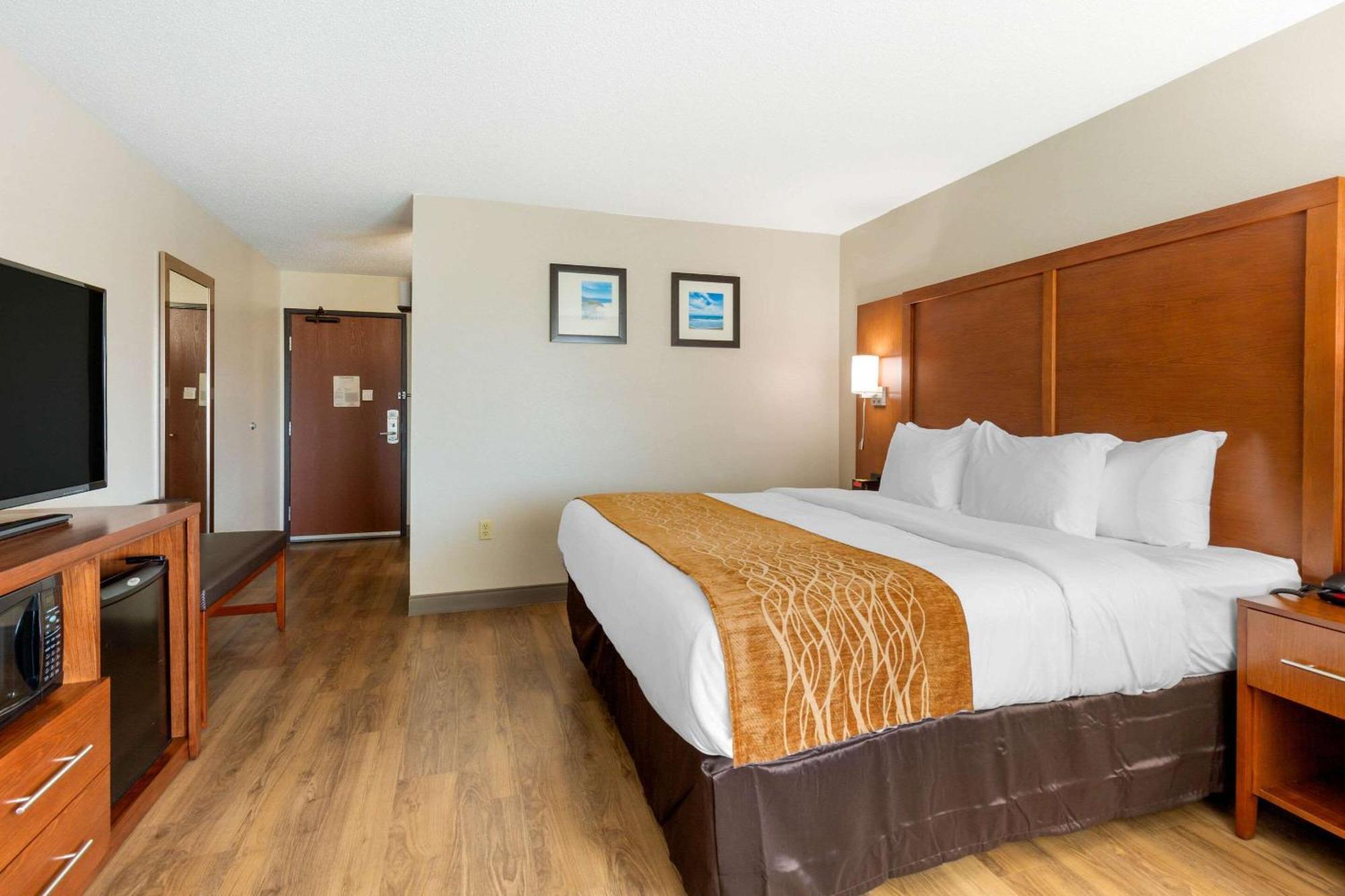Comfort Inn & Suites Milford Room photo